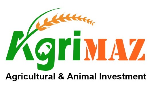 agrimaz-eg.com